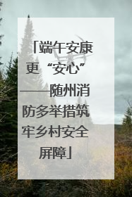 端午安康更“安心”——随州消防多举措筑牢乡村安全屏障