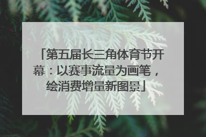 第五届长三角体育节开幕：以赛事流量为画笔，绘消费增量新图景