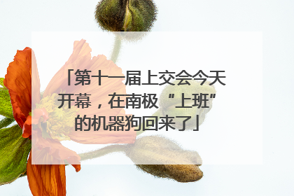第十一届上交会今天开幕，在南极“上班”的机器狗回来了