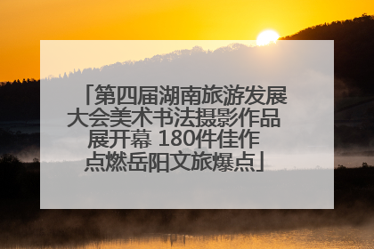 第四届湖南旅游发展大会美术书法摄影作品展开幕 180件佳作点燃岳阳文旅爆点