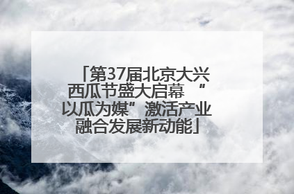 第37届北京大兴西瓜节盛大启幕 “以瓜为媒”激活产业融合发展新动能