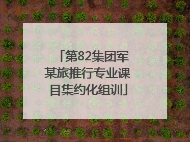 第82集团军某旅推行专业课目集约化组训