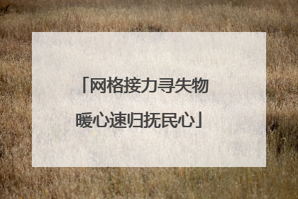 网格接力寻失物 暖心速归抚民心