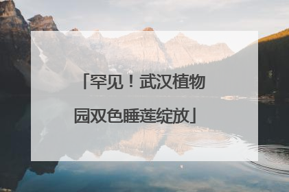 罕见！武汉植物园双色睡莲绽放