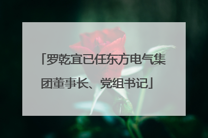 罗乾宜已任东方电气集团董事长、党组书记