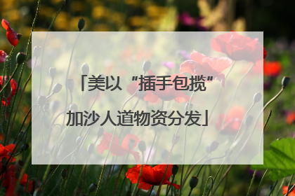 美以“插手包揽”加沙人道物资分发