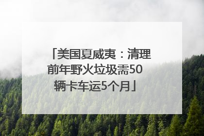 美国夏威夷：清理前年野火垃圾需50辆卡车运5个月