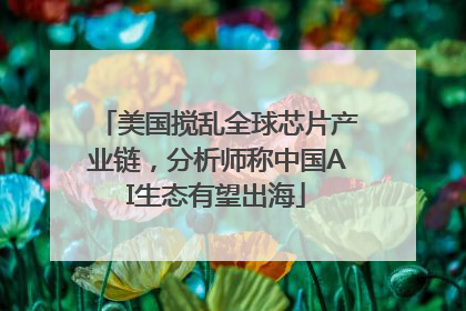 美国搅乱全球芯片产业链，分析师称中国AI生态有望出海
