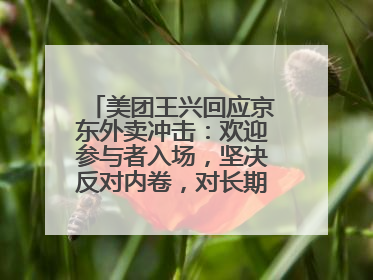 美团王兴回应京东外卖冲击：欢迎参与者入场，坚决反对内卷，对长期很有信心