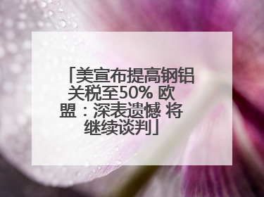 美宣布提高钢铝关税至50% 欧盟：深表遗憾 将继续谈判