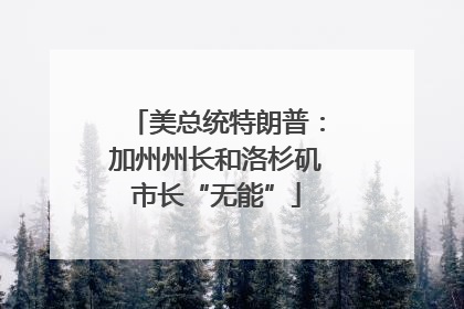 美总统特朗普：加州州长和洛杉矶市长“无能”