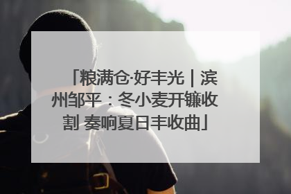 粮满仓·好丰光｜滨州邹平：冬小麦开镰收割 奏响夏日丰收曲