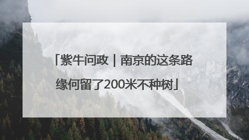 紫牛问政｜南京的这条路缘何留了200米不种树
