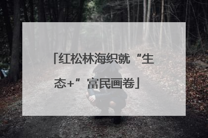 红松林海织就“生态+”富民画卷