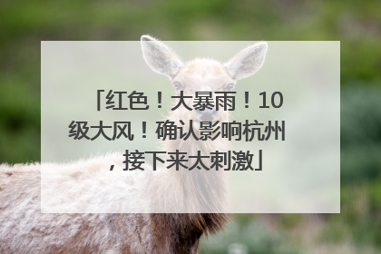 红色！大暴雨！10级大风！确认影响杭州，接下来太刺激