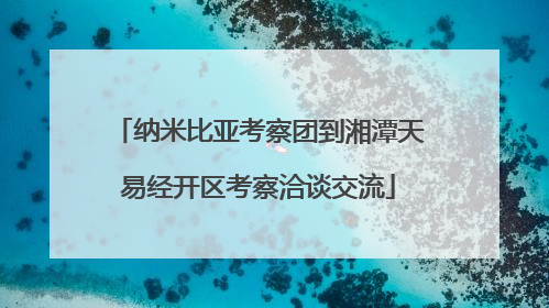 纳米比亚考察团到湘潭天易经开区考察洽谈交流
