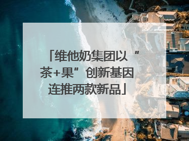 维他奶集团以“茶+果”创新基因连推两款新品
