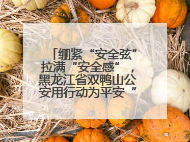 绷紧“安全弦”拉满“安全感”，黑龙江省双鸭山公安用行动为平安“加码”