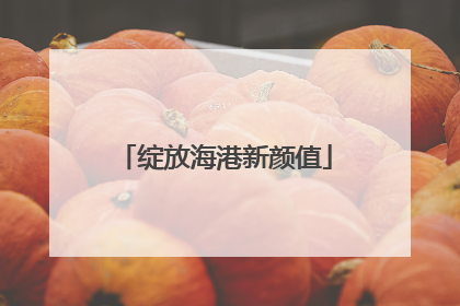 绽放海港新颜值