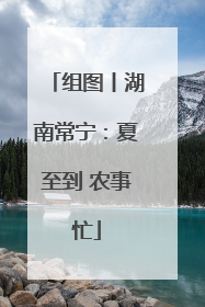 组图丨湖南常宁：夏至到 农事忙