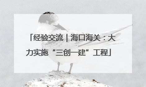 经验交流｜海口海关：大力实施“三创一建”工程