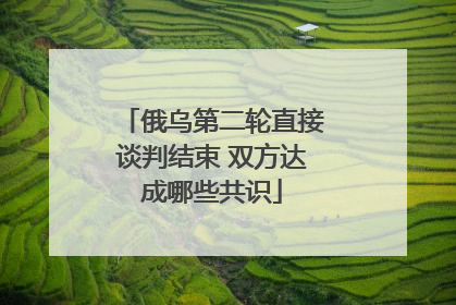 俄乌第二轮直接谈判结束 双方达成哪些共识