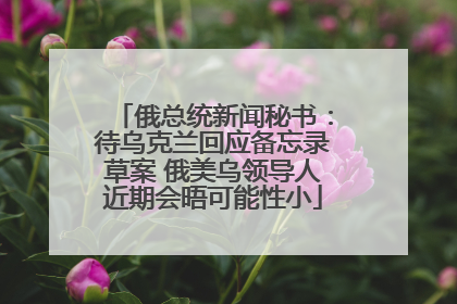 俄总统新闻秘书：待乌克兰回应备忘录草案 俄美乌领导人近期会晤可能性小