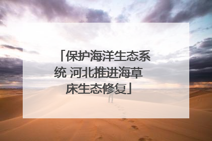 保护海洋生态系统 河北推进海草床生态修复