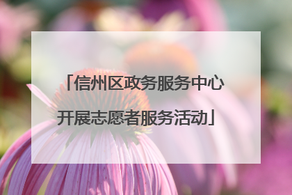 信州区政务服务中心开展志愿者服务活动
