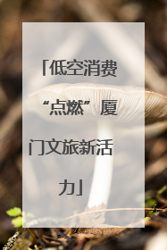 低空消费“点燃”厦门文旅新活力