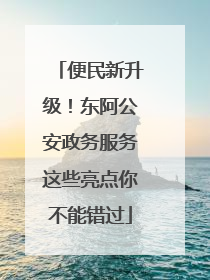 便民新升级！东阿公安政务服务这些亮点你不能错过