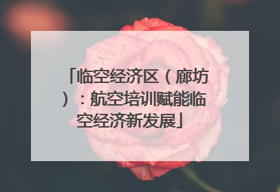 临空经济区（廊坊）：航空培训赋能临空经济新发展