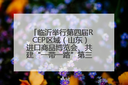 临沂举行第四届RCEP区域（山东）进口商品博览会、共建“一带一路”第三届临沂商城国际采购商大会新闻发布会