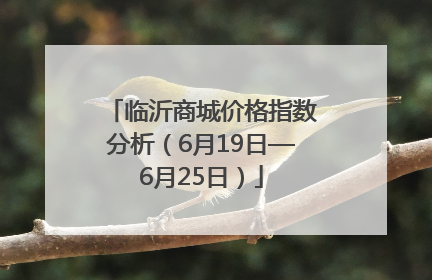 临沂商城价格指数分析（6月19日—6月25日）