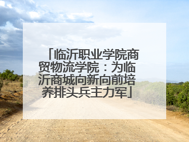 临沂职业学院商贸物流学院：为临沂商城向新向前培养排头兵主力军