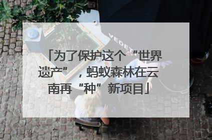 为了保护这个“世界遗产”，蚂蚁森林在云南再“种”新项目