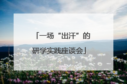 一场“出汗”的研学实践座谈会