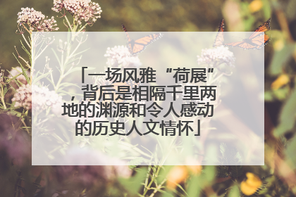 一场风雅“荷展”，背后是相隔千里两地的渊源和令人感动的历史人文情怀