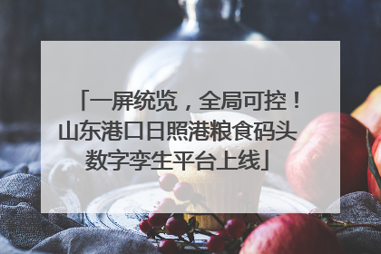 一屏统览，全局可控！山东港口日照港粮食码头数字孪生平台上线
