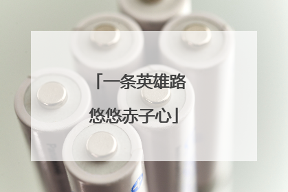 一条英雄路 悠悠赤子心