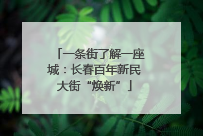 一条街了解一座城：长春百年新民大街“焕新”