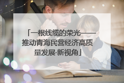 一根线缆的荣光——推动青海民营经济高质量发展·新视角