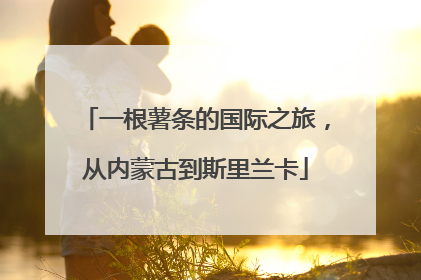 一根薯条的国际之旅，从内蒙古到斯里兰卡