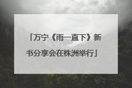 万宁《雨一直下》新书分享会在株洲举行