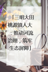 三明大田桃源镇人大：推动河流治理，筑牢生态屏障