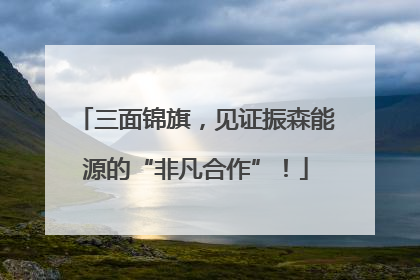 三面锦旗，见证振森能源的“非凡合作”！