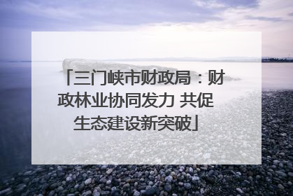 三门峡市财政局：财政林业协同发力 共促生态建设新突破
