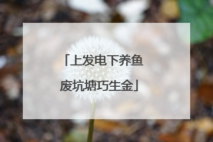 上发电下养鱼 废坑塘巧生金