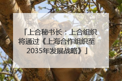 上合秘书长：上合组织将通过《上海合作组织至2035年发展战略》