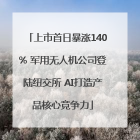 上市首日暴涨140% 军用无人机公司登陆纽交所 AI打造产品核心竞争力